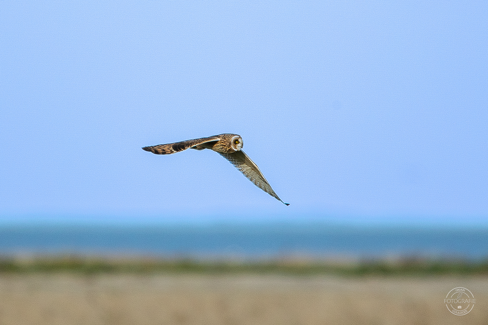 16 oktober 2022 165613 1R2A2901